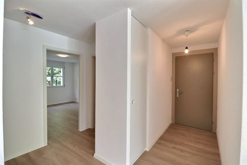JOLI APPARTEMENT DE 4,5 PIECES RENOVE AVEC UNE TERRASSE ET UN JARDIN (9)