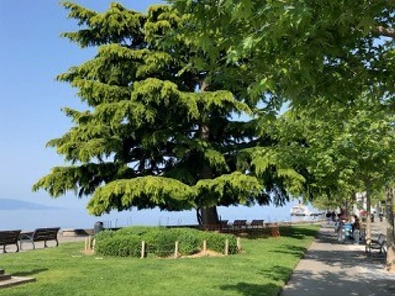 CHARMANT APPARTEMENT DE 4,5 PIECES AU COEUR DE VEVEY A 2 MINUTES DU LAC (4)