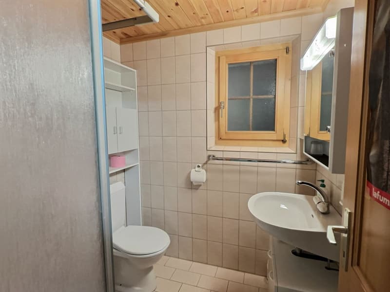 Salle de douche rez-inférieur