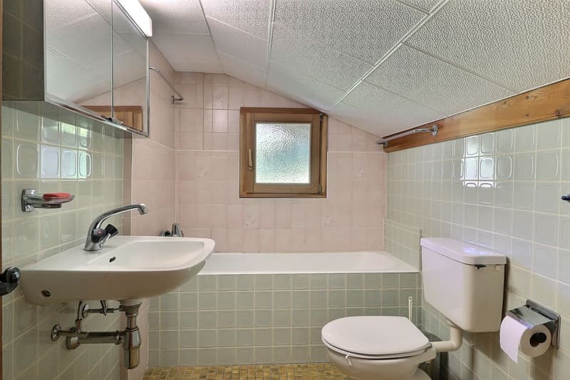 OPPORTUNITE A SAISIR   JOLI CHALET DE 5,5 PIECES AVEC BELLE VUE AU CALME (10)