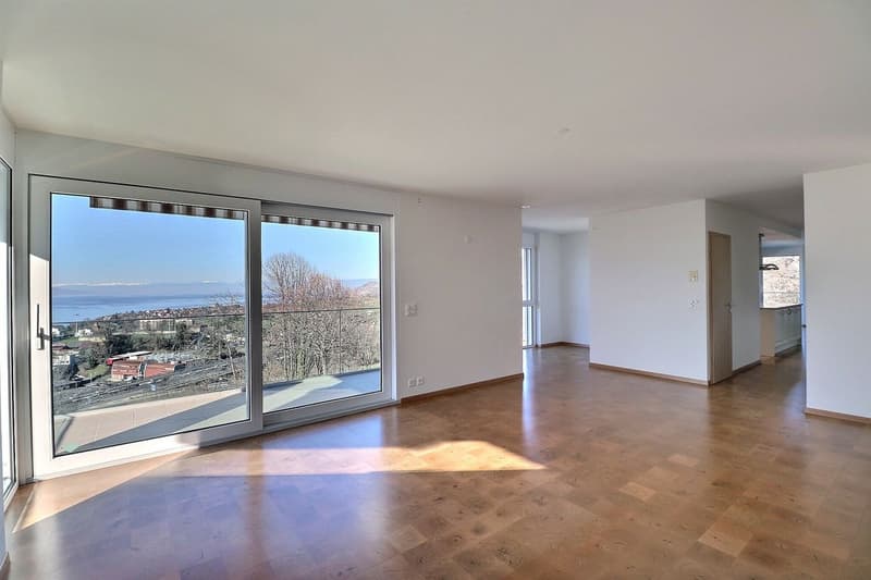 SPACIEUX APPARTEMENT DE 5,5 PIECES AVEC VUE PANORAMIQUE IMPRENABLE (5)