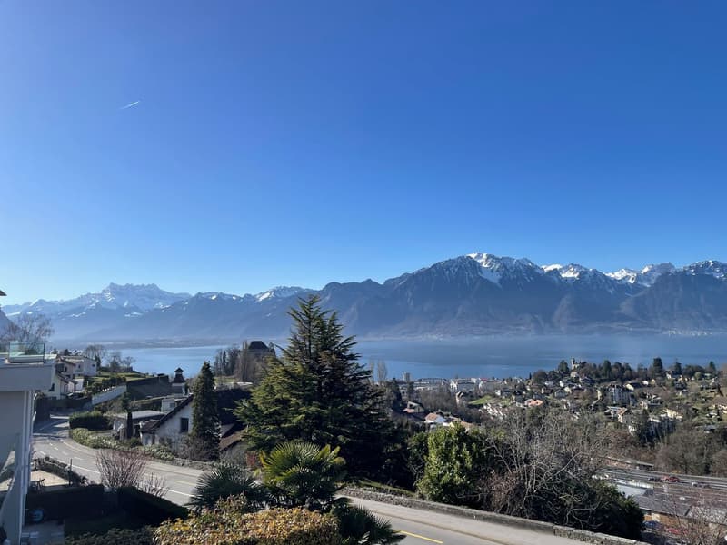 SPACIEUX APPARTEMENT DE 5,5 PIECES AVEC VUE PANORAMIQUE IMPRENABLE (4)