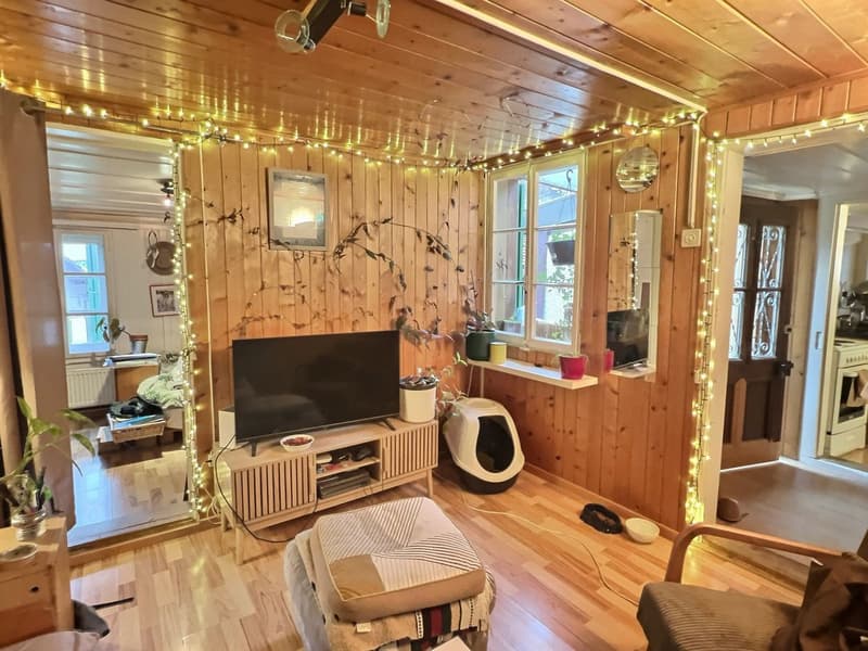 Appartement de 40 m2 à Château-d'Oex (3)