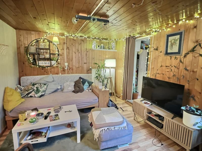 Appartement de 40 m2 à Château-d'Oex (4)