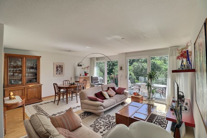 POUR INVESTISSEURS: APPARTEMENT LOUE DE 5,5 PIECES DANS UN QUARTIER TRES CALME AVEC UNE BELLE VUE (2)
