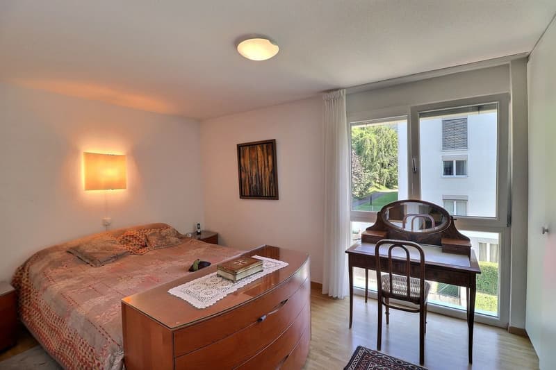 POUR INVESTISSEURS: APPARTEMENT LOUE DE 5,5 PIECES DANS UN QUARTIER TRES CALME AVEC UNE BELLE VUE (9)
