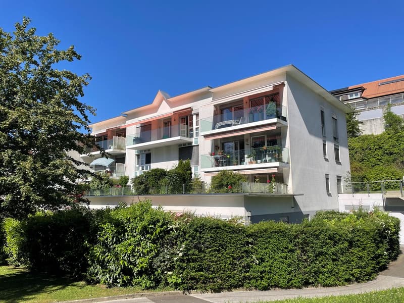 POUR INVESTISSEURS: APPARTEMENT LOUE DE 5,5 PIECES DANS UN QUARTIER TRES CALME AVEC UNE BELLE VUE (5)