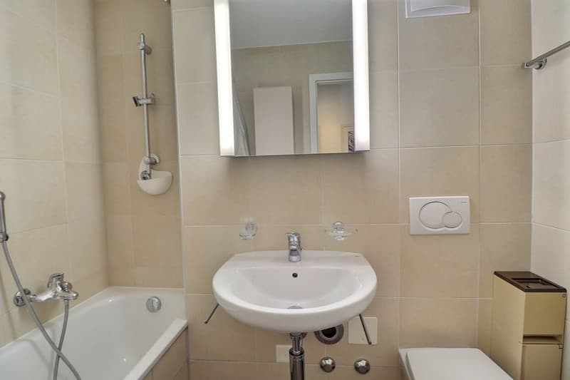 POUR INVESTISSEURS: APPARTEMENT LOUE DE 5,5 PIECES DANS UN QUARTIER TRES CALME AVEC UNE BELLE VUE (13)