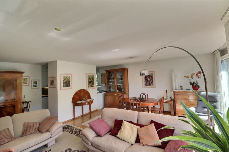 POUR INVESTISSEURS: APPARTEMENT LOUE DE 5,5 PIECES DANS UN QUARTIER TRES CALME AVEC UNE BELLE VUE (4)