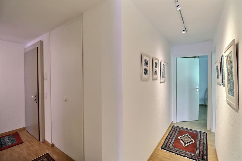 POUR INVESTISSEURS: APPARTEMENT LOUE DE 5,5 PIECES DANS UN QUARTIER TRES CALME AVEC UNE BELLE VUE (12)