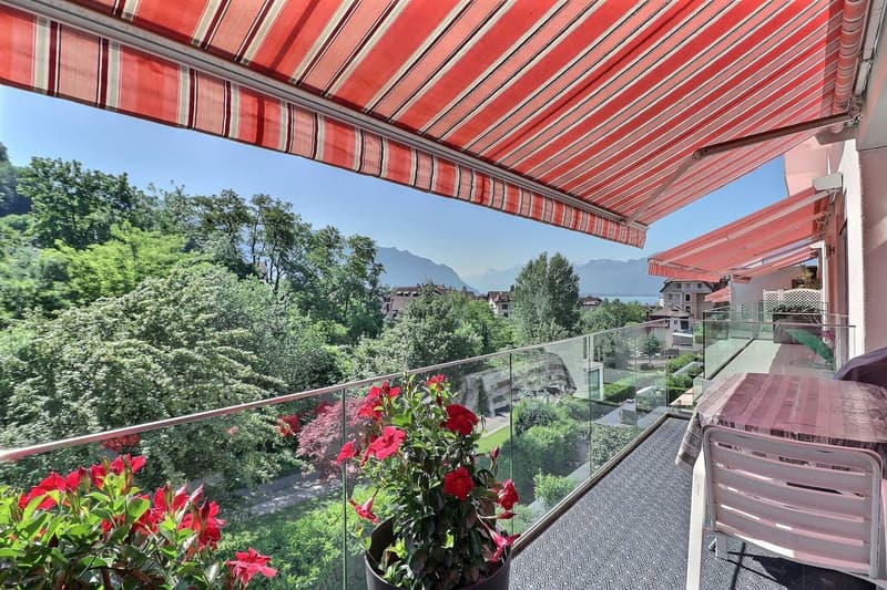 POUR INVESTISSEURS: APPARTEMENT LOUE DE 5,5 PIECES DANS UN QUARTIER TRES CALME AVEC UNE BELLE VUE (1)