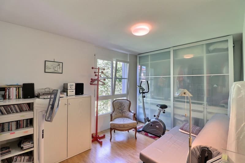 POUR INVESTISSEURS: APPARTEMENT LOUE DE 5,5 PIECES DANS UN QUARTIER TRES CALME AVEC UNE BELLE VUE (10)