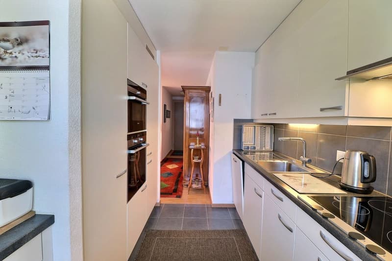 POUR INVESTISSEURS: APPARTEMENT LOUE DE 5,5 PIECES DANS UN QUARTIER TRES CALME AVEC UNE BELLE VUE (8)