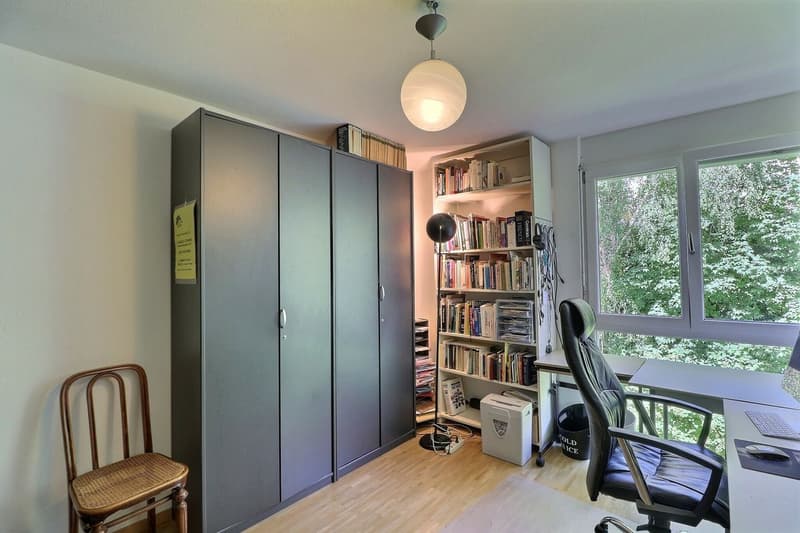 POUR INVESTISSEURS: APPARTEMENT LOUE DE 5,5 PIECES DANS UN QUARTIER TRES CALME AVEC UNE BELLE VUE (11)