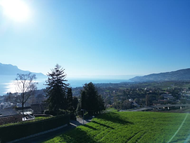 VILLA D'ARCHITECTE COMPOSEE DE 3 APPARTEMENTS AVEC UNE PISCINE ET UNE TRES BELLE VUE SUR LE LAC (5)