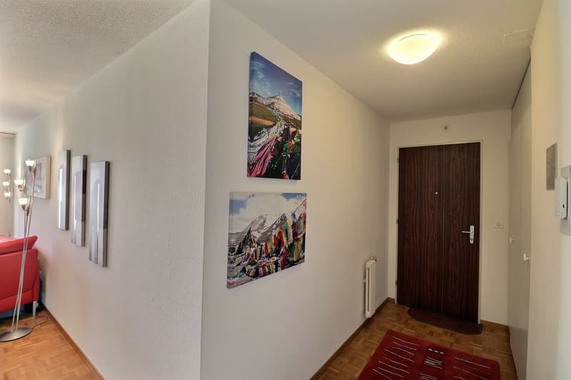 APPARTEMENT DE 1,5 PIECES AVEC TRES BONNE SITUATION ET BELLE VUE SUR LE LAC ET LES MONTAGNES (8)