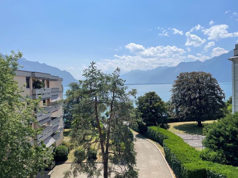 APPARTEMENT DE 1,5 PIECES AVEC TRES BONNE SITUATION ET BELLE VUE SUR LE LAC ET LES MONTAGNES (2)