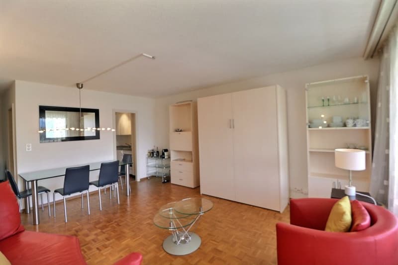 APPARTEMENT DE 1,5 PIECES AVEC TRES BONNE SITUATION ET BELLE VUE SUR LE LAC ET LES MONTAGNES (9)