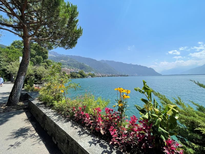 APPARTEMENT DE 1,5 PIECES AVEC TRES BONNE SITUATION ET BELLE VUE SUR LE LAC ET LES MONTAGNES (5)