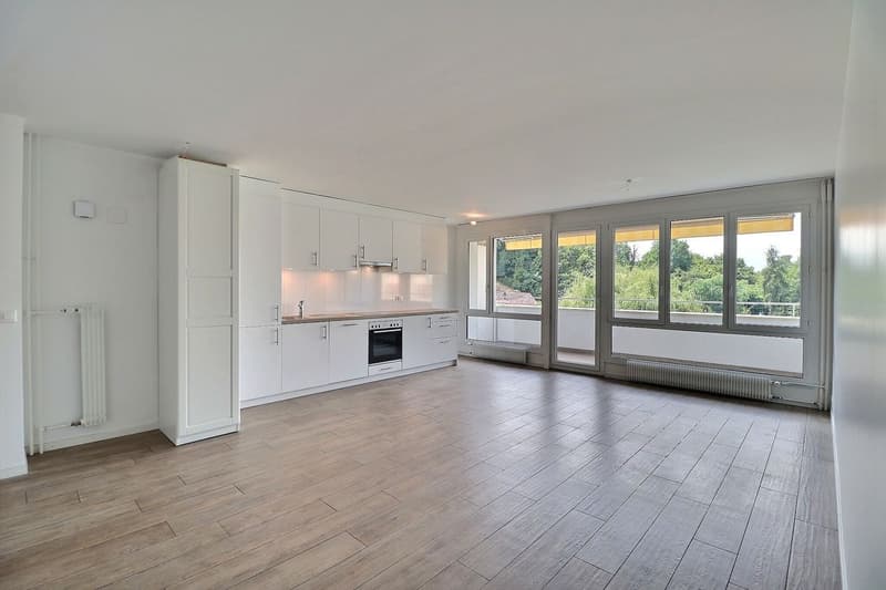 OPPORTUNITE: APPARTEMENT DE 4,5 PIECES LIBRE DE SUITE AVEC ARRETS DE BUS A PROXIMITE (3)