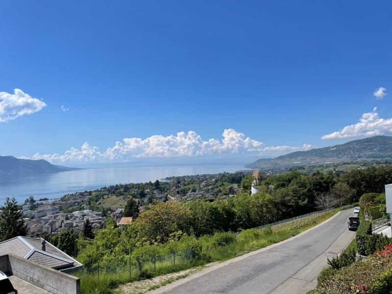 SUPERBE APPARTEMENT DE 4.5 PIECES A CHERNEX - MONTREUX AVEC TRES BELLE VUE PANORAMIQUE (3)