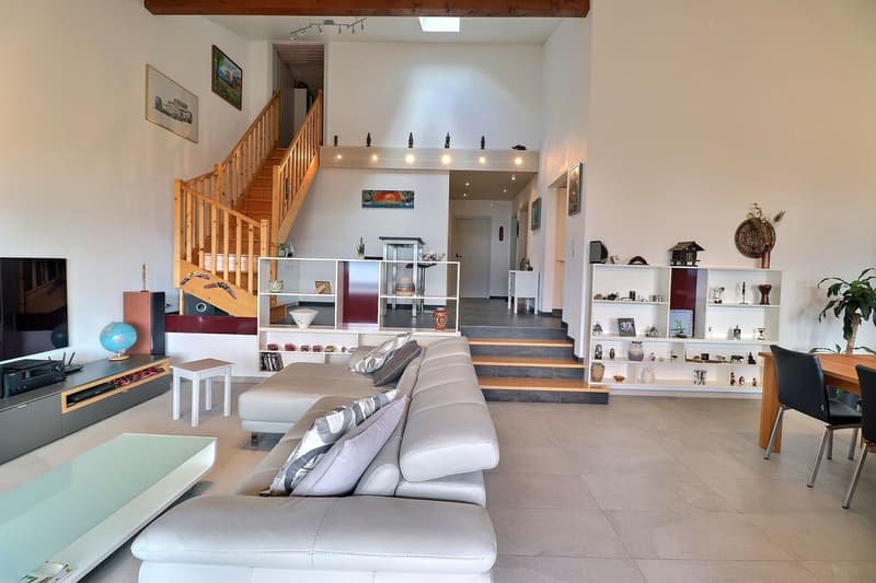 SPACIEUX APPARTEMENT DE 4,5 PIECES ENTIEREMENT RENOVE AVEC TRES BELLE VUE (5)