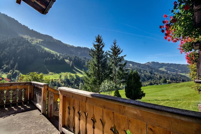 Grande propriété à vendre comprenant 2 chalets ! (8)