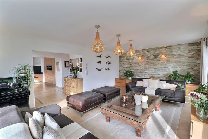 BELLE VILLA INDIVIDUELLE DE 5,5 PIECES AVEC TRES BELLE VUE DANS UN QUARTIER RESIDENTIEL CALME (8)