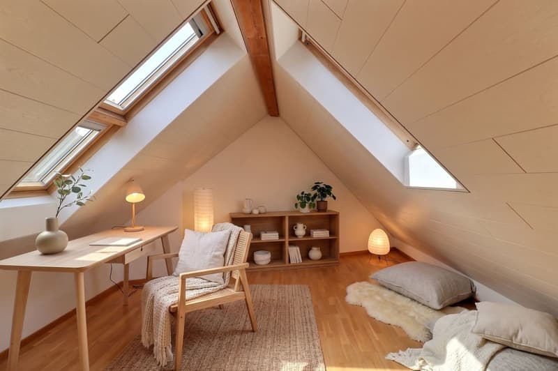 DUPLEX AVEC CACHET UNIQUE AU CENTRE D'AIGLE (10)