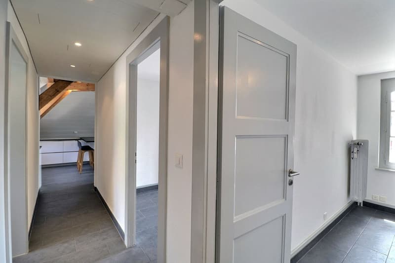 DUPLEX AVEC CACHET UNIQUE AU CENTRE D'AIGLE (5)