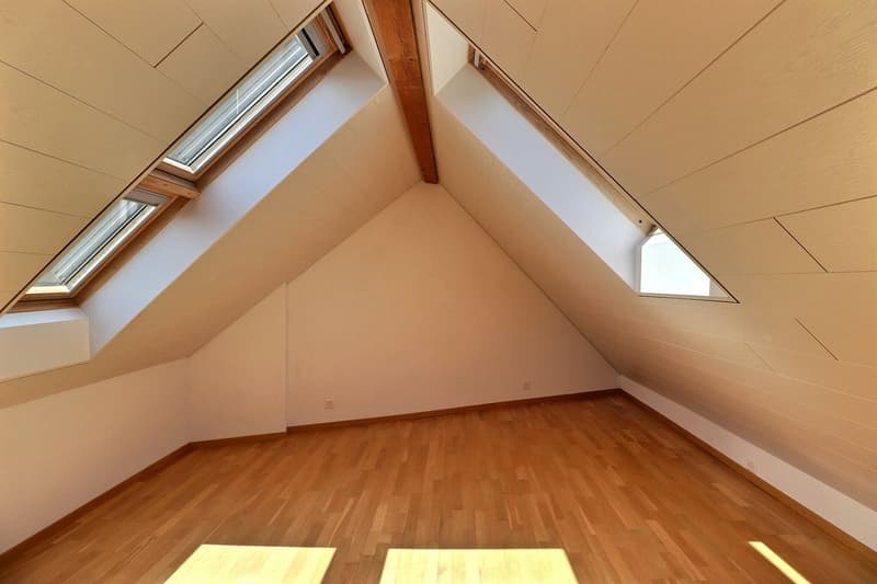 DUPLEX AVEC CACHET UNIQUE AU CENTRE D'AIGLE (9)
