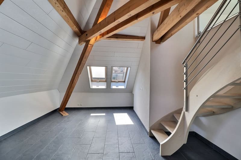 DUPLEX AVEC CACHET UNIQUE AU CENTRE D'AIGLE (4)
