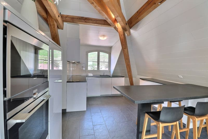 DUPLEX AVEC CACHET UNIQUE AU CENTRE D'AIGLE (7)