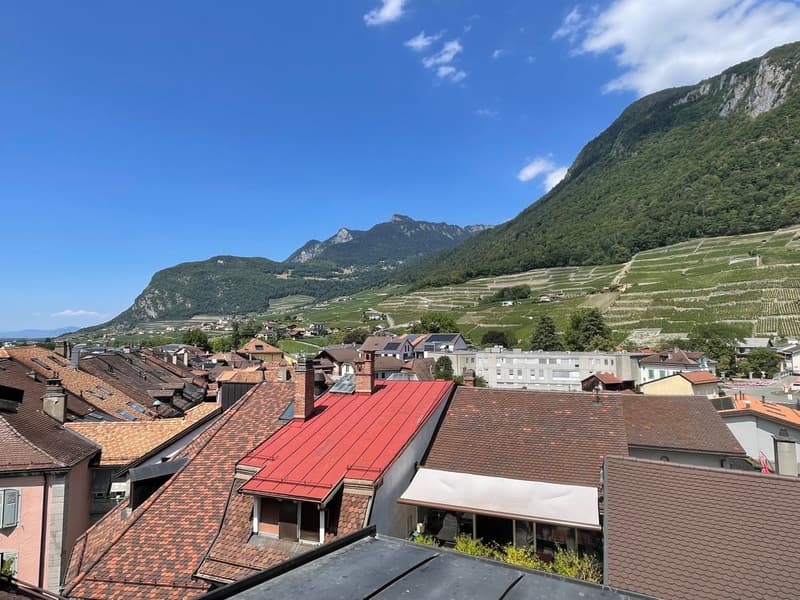 DUPLEX AVEC CACHET UNIQUE AU CENTRE D'AIGLE (2)