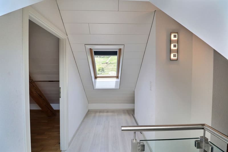 DUPLEX AVEC CACHET UNIQUE AU CENTRE D'AIGLE (13)