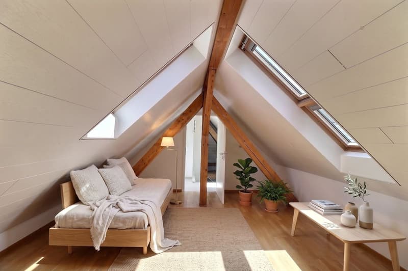 DUPLEX AVEC CACHET UNIQUE AU CENTRE D'AIGLE (12)