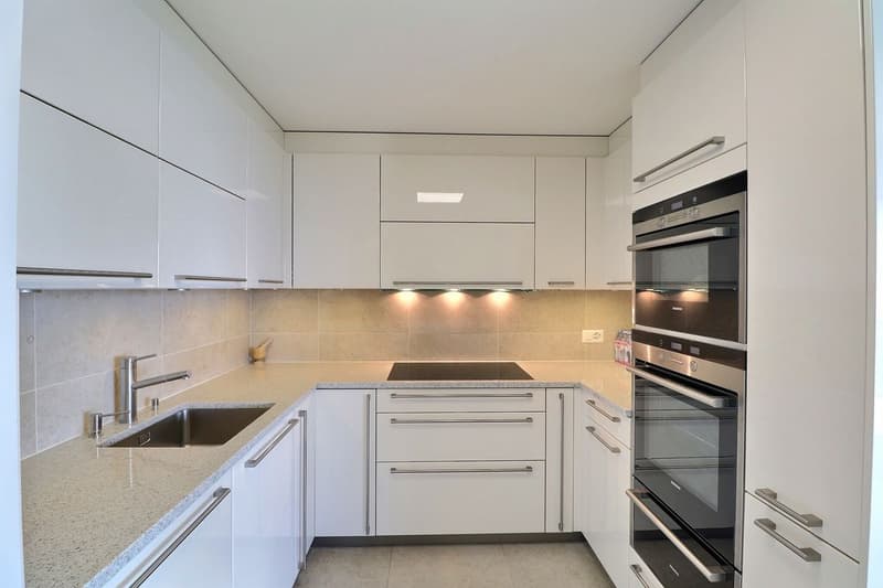APPARTEMENT DE 5,5 PIECES AVEC UNE VUE GRANDIOSE ET EN TRES BON ETAT (9)