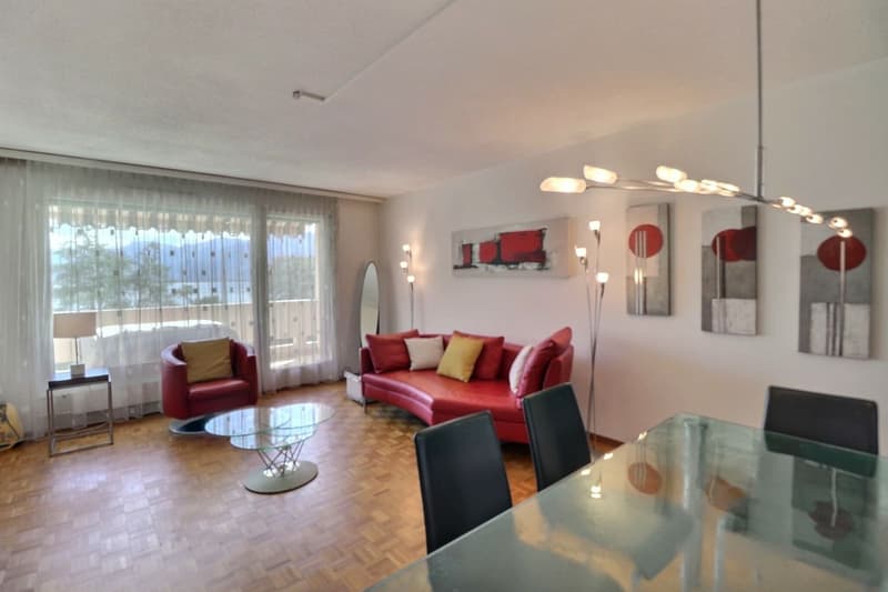APPARTEMENT DE 1,5 PIECES IDEALEMENT SITUE AVEC TRES BELLE VUE DAGAGEE SUR LE LAC ET LES MONTAGNES A 150 M DES QUAIS DE MONTREUX (5)