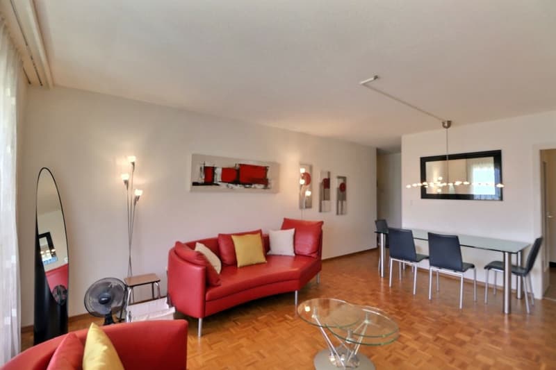 APPARTEMENT DE 1,5 PIECES IDEALEMENT SITUE AVEC TRES BELLE VUE DAGAGEE SUR LE LAC ET LES MONTAGNES A 150 M DES QUAIS DE MONTREUX (7)