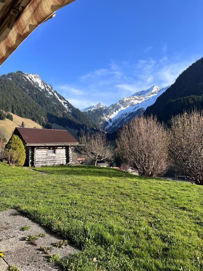 Chalet mitoyen à l'Etivaz (5)