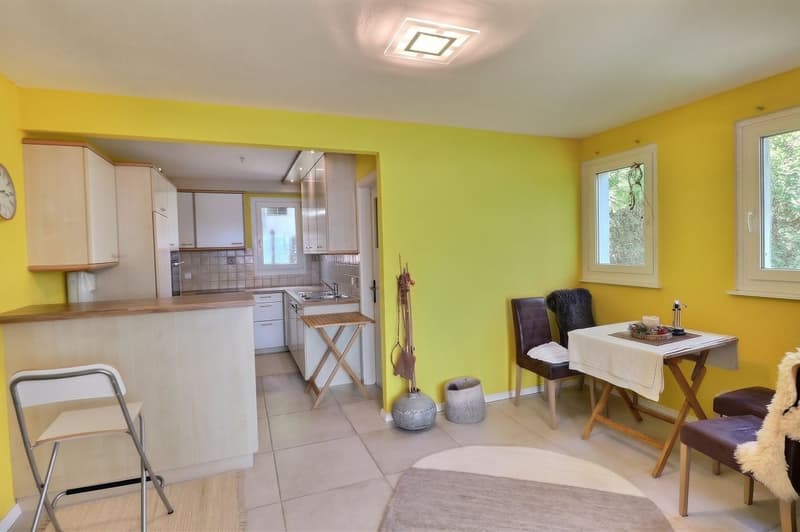 IMMEUBLE DE 4 APPARTEMENTS A RENOVER AVEC VUE PANORAMIQUE EXCEPTIONNELLE SUR LE LAC LEMAN ET LES ALPES (13)