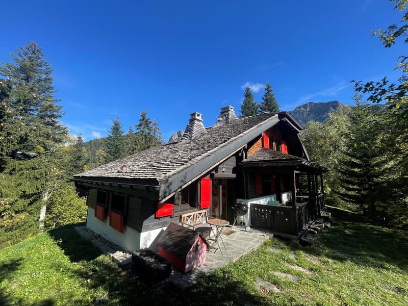 OBJET RARE - MAGNIFIQUE CHALET DE 4,5 PIECES A CAUX SUR MONTREUX AVEC TRES BELLE VUE SUR LES MONTAGNES (1)