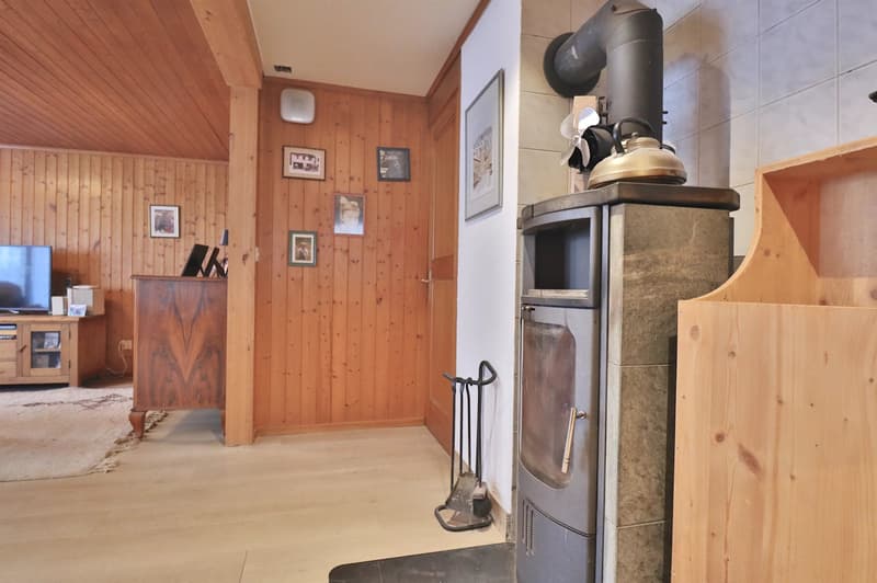 Village house (7)