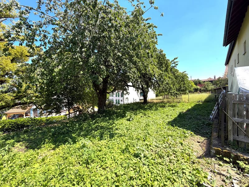 Building lot of 517.00 m2 (4)