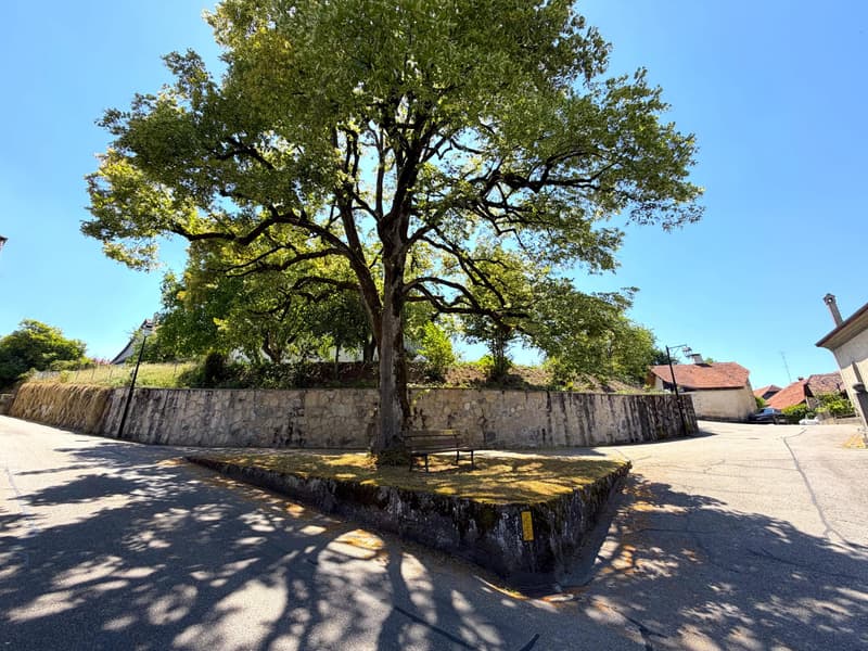 Building lot of 517.00 m2 (1)