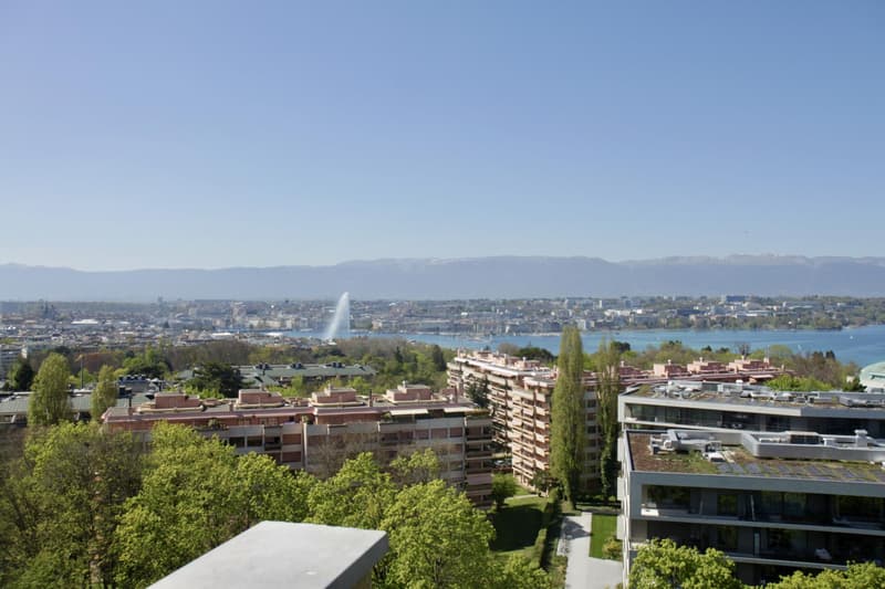 Cologny Parc: Attique d'exception avec vue panoramique! (2)