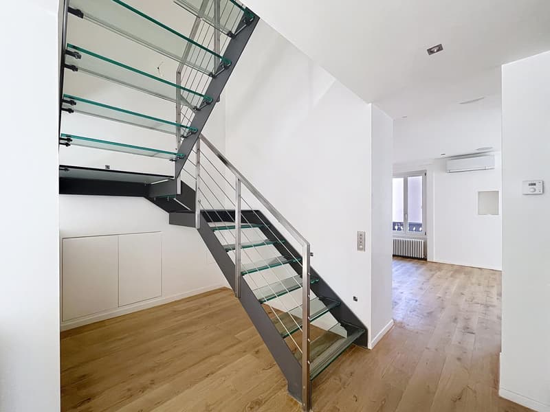 Duplex d'exception en plein centre de Genève (2)