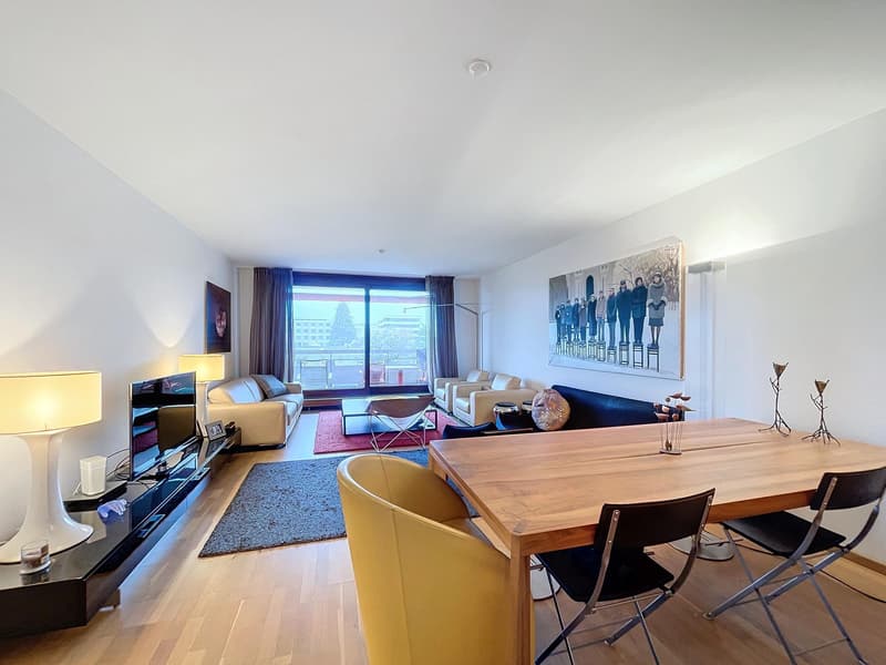 Appartement avec une vue imprenable (2)