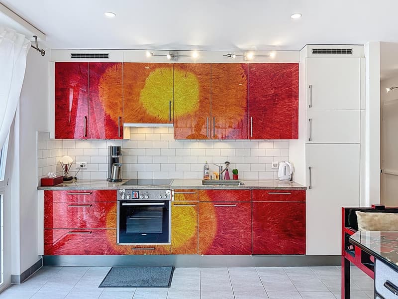 Superbe appartement traversant avec vue imprenable à Carouge (5)