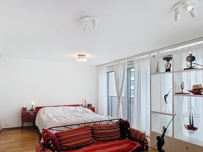 Superbe appartement traversant avec vue imprenable à Carouge (4)